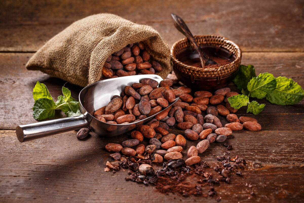 Rusya, Türkiye'den kakao çekirdeği ithalatına başladı